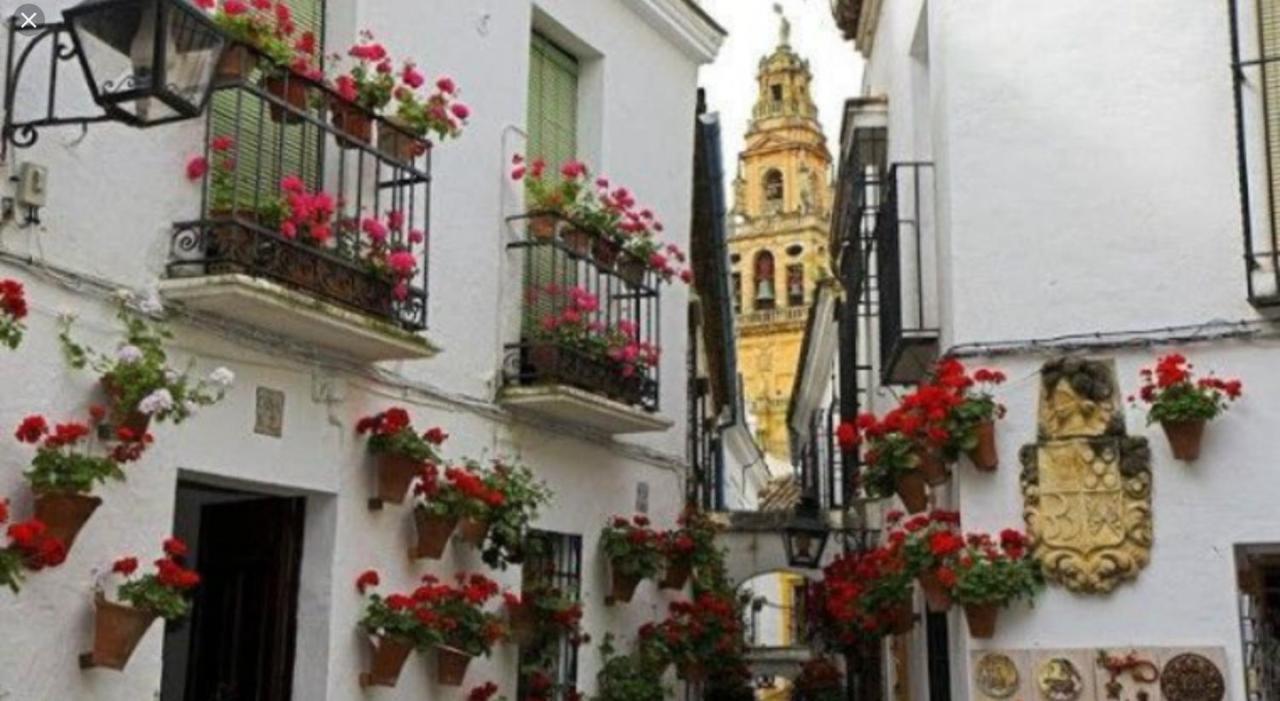 Flor de Naranjo Apartamento Córdoba Exterior foto